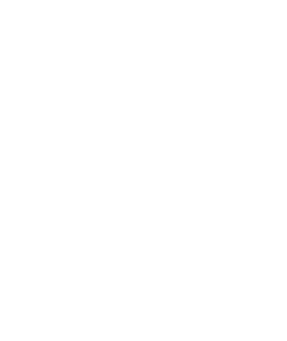 מצלמה רצה
